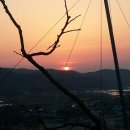 조아농장 이미지