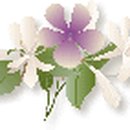 코스모스아파트경로당 이미지