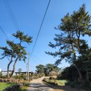 야자수정원 | 🏠 제주 동부 숙소 추천 '야자수정원' - 조용하고 깔끔한 성산 한달살이 숙소