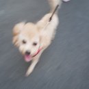 퍼머넌트 이미지