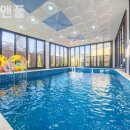 레드앤풀 이미지