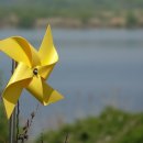 양화 금강변 이미지