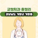 희성타운 | 경상남도 거창군 거창읍 교정치과 총정리