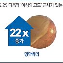 안경나라보건대점 이미지