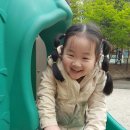 승지어린이공원 Daum카페