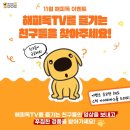 해피독 이미지
