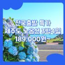 광주동양여행사 | 제주도 3박4일 패키지 여행 / [특가] 대구/부산/서울_제주도_3박4일 #관광패키지 #노옵션 #석조