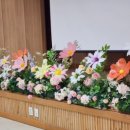 당중초등학교병설유치원 이미지