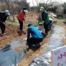 안종호농장 이미지