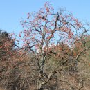 부일민박 이미지