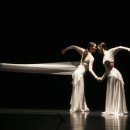 수요춤전 이미지