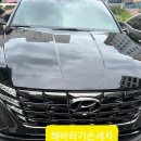 스카이손세차 이미지