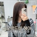 신당역 미용실 오르드비 헤어 뿌리 염색 후기