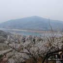 행복한농원 이미지