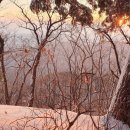 덕구온천콘도 이미지