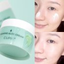 카프릭 | 다이소 화장품 내돈내산 큐어 알파 카밍 알로에크림 아쉬운 후기