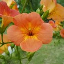 삼거리 공원내 이미지