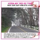 솔향모터스 네이버블로그