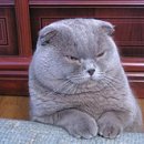 우리집동물병원 이미지