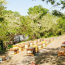 상열농장 이미지