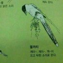 솔직히 천재는 좀 거만떨고 똘끼있어야 섹시하지 않음??????? (글렌굴드) 이미지