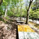 화이트하우스펜션 이미지