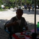 생태다리 이미지