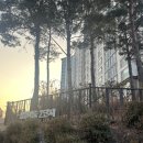 삼성마을 2단지 사거리(부동산 앞) | 군포 대야미 부동산 삼성마을 2단지 임장 팁 솔직 후기