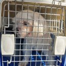 완월동225 이미지