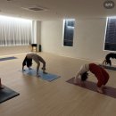 주공지(G)마트 | 청주 성화동 요가원 추천 요가본 3개월 내돈내산 수강 후기