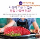 인터펫코리아 이미지