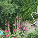 동화나라 요리여행 이미지