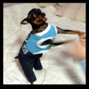 뭉뭉이네 이미지