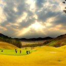 성운개발(주) 이미지