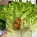 (주)그린환경 | 농업회사법인(주)메타그린 수경이 무농약 친환경 유러피안 채소 후기