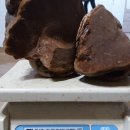 박달하지 이미지