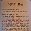 세종낙지 초담골(낙지요리전문점) 이미지