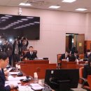 내란특별법의 합헌성에 대해 이미지