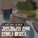 푸른일등 | 강민경 밴댕이회 당일배송, 드디어 먹어본 찐 후기! 별빛청하와 한 잔 무조건 추천.