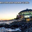 해변의 터마루 이미지