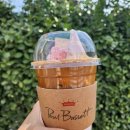 체리목장 | 폴바셋 봄 시즌 메뉴 체리블라썸 아이스크림 라떼 솔직후기 (+가격, 생일쿠폰 꿀팁)