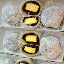 아름드리 이미지