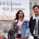 새문구방 이미지