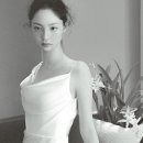 레브 컴퍼니 네이버블로그