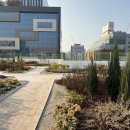 성수초등학교 이미지