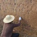 쓰촨 노호, 신석기시대 손 돌도끼 발견 이미지