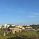 신흥늦장 이미지