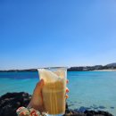 더 로쉐 이미지