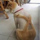 로얄피부헤어