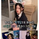 민주공원노동조합 | 롯데월드 목격담으로 화제인 아일릿 민주의 교복코디 가방 정보(아크네)